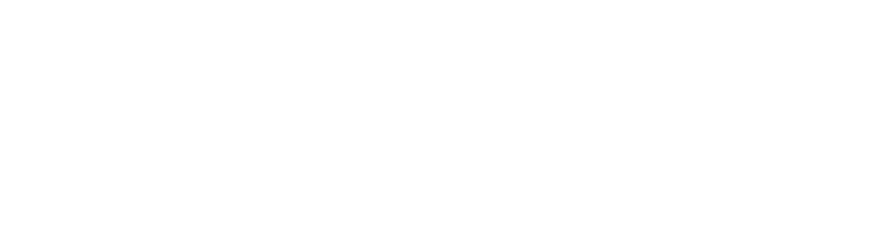 FlexCorp